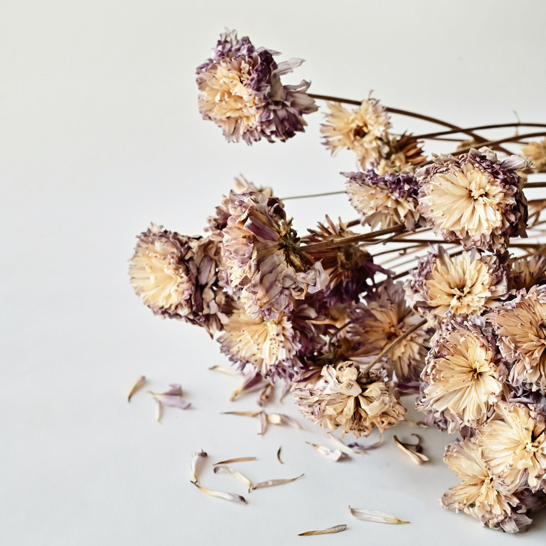 Trockene Winterhaut - Unsere Top Behandlungen