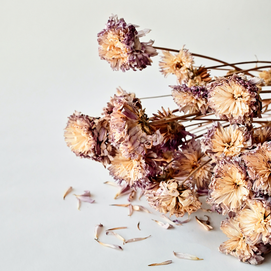 Trockene Winterhaut - Unsere Top Behandlungen